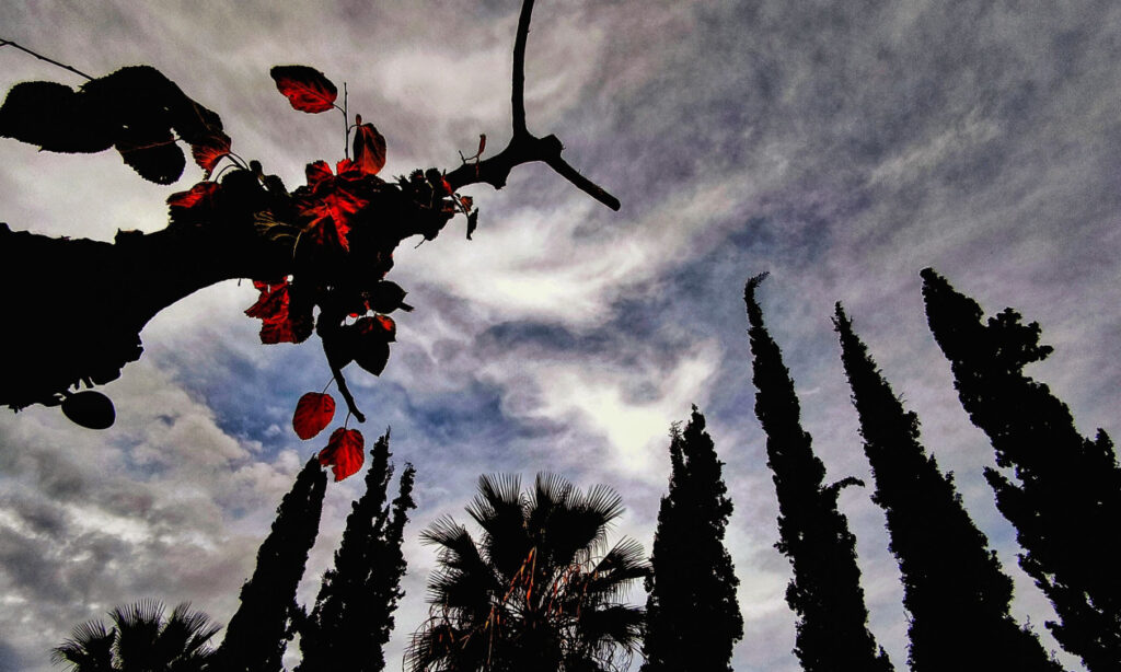 Καιρός Πρωτομαγιάς: «Θα κοιμηθούμε με άνοιξη, θα ξυπνήσουμε με χειμώνα» – Η πρόγνωση Καλλιάνου