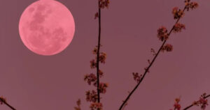 Ροζ Πανσέληνος στις 2 Απριλίου: Τα ζώδια που θα φτάσουν στα όρια τους και θα βιώσουν συναισθηματικά δράματα