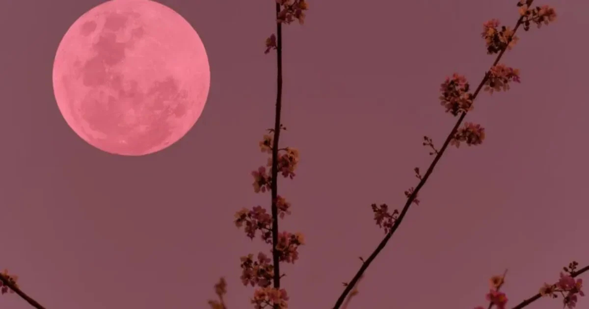 Ροζ Πανσέληνος στις 2 Απριλίου: Τα ζώδια που θα φτάσουν στα όρια τους και θα βιώσουν συναισθηματικά δράματα