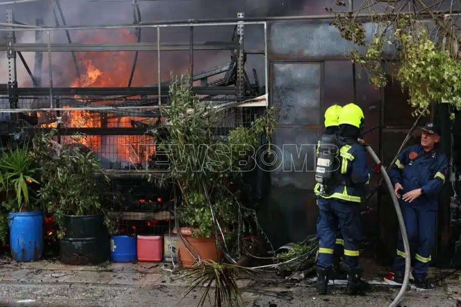 c37abf09 fotia ilion2