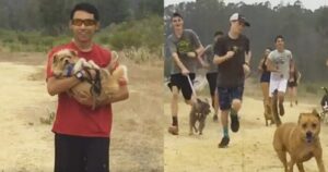 Το ωραιότερο δώρο: Μαθητές πήραν βόλτα σκυλιά που ήταν κλεισμένα σε καταφύγιο και αυτά ξετρελάθηκαν