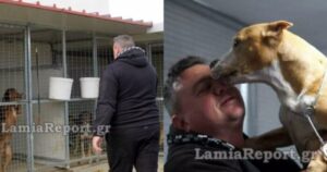 46χρονος Στη Λαμία Σώζει 35 Σκύλους Από Πλημμύρα – Κινδύνεψε Να Πνιγεί, Ήταν Αγνοούμενος Για Ώρες!