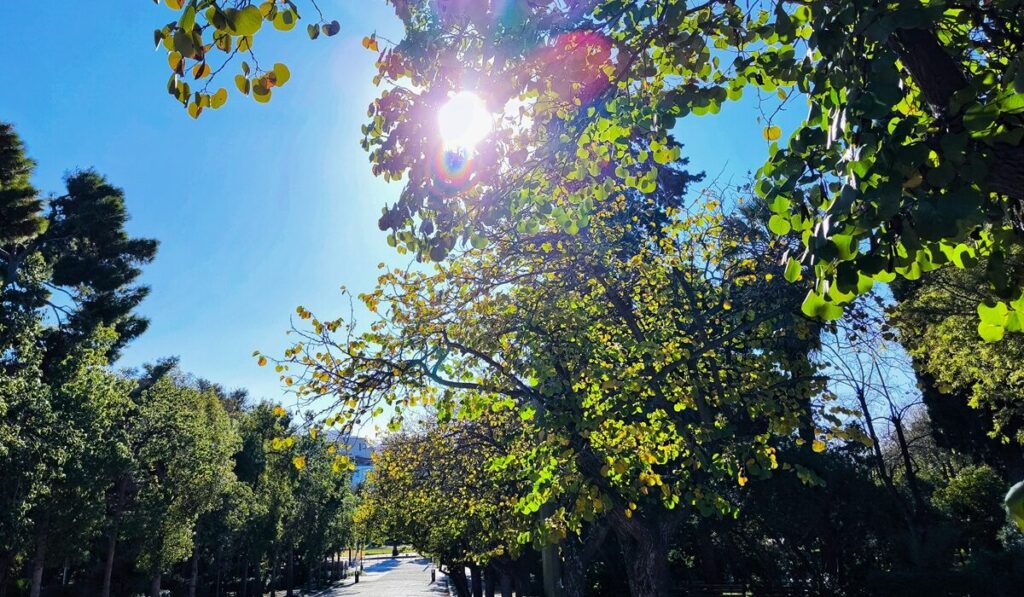 «Κλείδωσε» και δεν ξανά αλλάζει: Αυτοί θα σουβλίσουν αρνί με βροχή και αυτοί με ήλιο