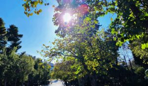 «Κλείδωσε» και δεν ξανά αλλάζει: Αυτοί θα σουβλίσουν αρνί με βροχή και αυτοί με ήλιο