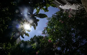 Τι καιρό θα κάνει την Πρωτομαγιά – Αλλάζει το σκηνικό