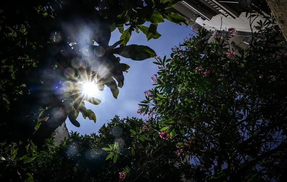 Τι καιρό θα κάνει την Πρωτομαγιά – Αλλάζει το σκηνικό