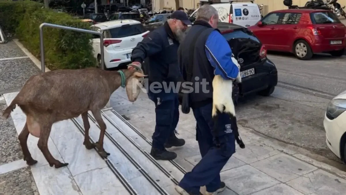 Δεν θα πιστεύετε ποιος είναι ο άντρας που το είχε παράνομο μαντρί στους Αμπελόκήπους