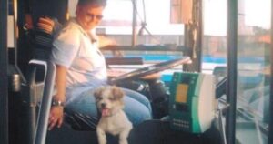 Γαρυφαλιά Ανδρουλάκη: Η Γυναίκα Οδηγός Κτελ Που Δουλεύει Μαζί Με Τον Σκυλάκο Της