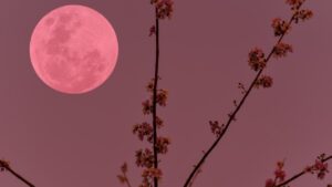 Απρίλος: Αυτός ο μήνας φέρνει μεγάλες ανατροπές σε 4 ζώδια! Αυτοί θα βρεθούν στο σωστό σημείο τη σωστή στιγμή!