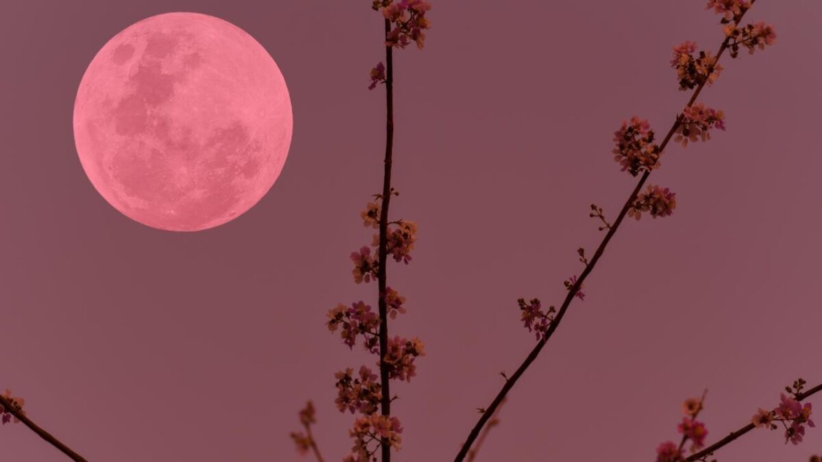 Απρίλος: Αυτός ο μήνας φέρνει μεγάλες ανατροπές σε 4 ζώδια! Αυτοί θα βρεθούν στο σωστό σημείο τη σωστή στιγμή!