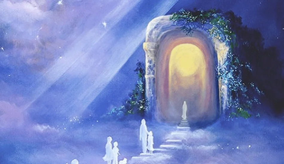 screen shot 2019 06 21 at 11.21.50 am