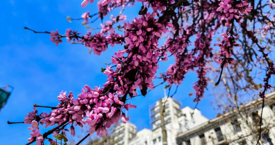 Σκέτη απογοήτευση ο καιρός το Πάσχα 2026 – Ανατροπή στην πρόγνωση