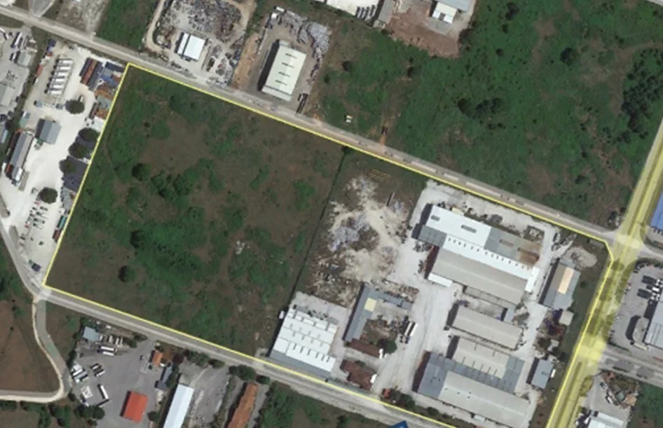 spider petsios 1 vipe