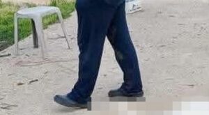 Βάβδος Χαλκιδικής: «Βρίσκαμε το ένα πτώμα μετά το άλλο» – Μαζική δηλητηρίαση αδέσποτων, τουλάχιστον 21 νεκρά σκυλιά