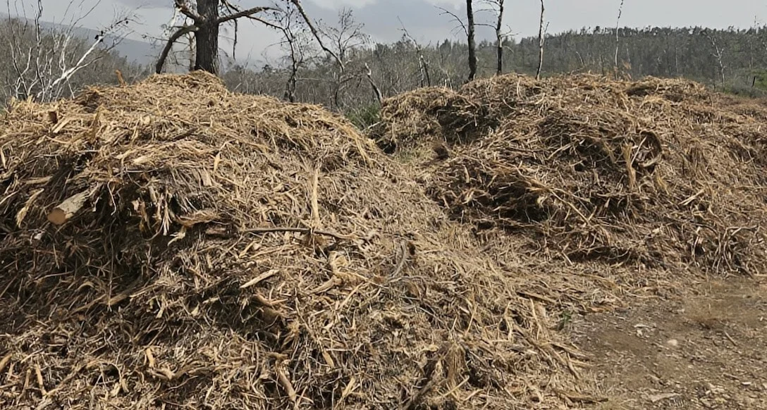 Καθαρισμός οικοπέδων 2026: Η μεγάλη αλλαγή στις φετινές δηλώσεις – Τα πρόστιμα