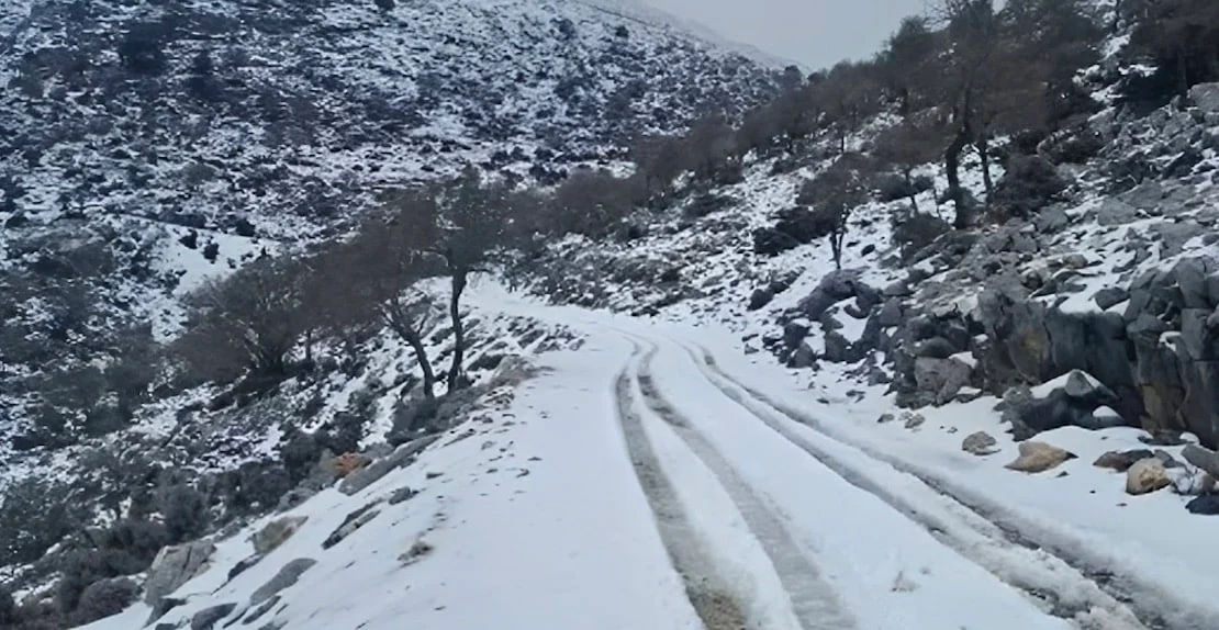 Ψυχρή εισβολή από την Αρκτική απειλεί την Ελλάδα – Κίνδυνος παγετού και ζημιών στην αγροτική παραγωγή