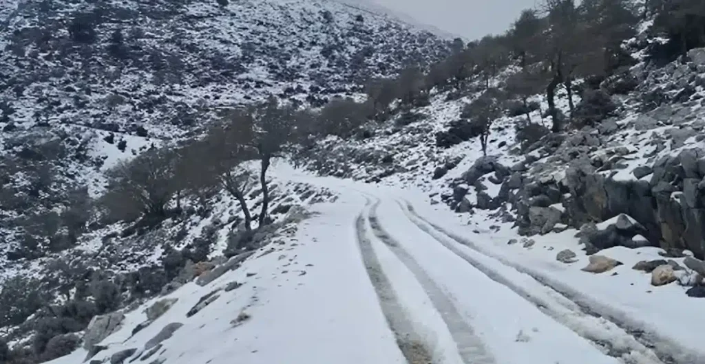 Ψυχρή εισβολή από την Αρκτική απειλεί την Ελλάδα – Κίνδυνος παγετού και ζημιών στην αγροτική παραγωγή