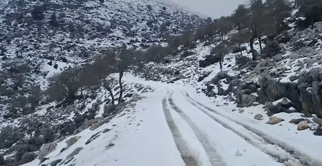Ψυχρή εισβολή από την Αρκτική απειλεί την Ελλάδα – Κίνδυνος παγετού και ζημιών στην αγροτική παραγωγή