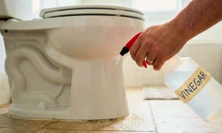 Το βράδυ πριν τον ύπνο, ψέκασε γύρω από τη λεκάνη της τουαλέτας ξύδι – Το αποτέλεσμα το πρωί θα σε εκπλήξει