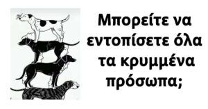 Μπορείτε να εντοπίσετε όλα τα κρυμμένα πρόσωπα;