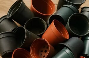 Σταματήστε να πετάτε τις παλιές πλαστικές γλάστρες. 10 καταπληκτικοί τρόποι να τις χρησιμοποιήσετε
