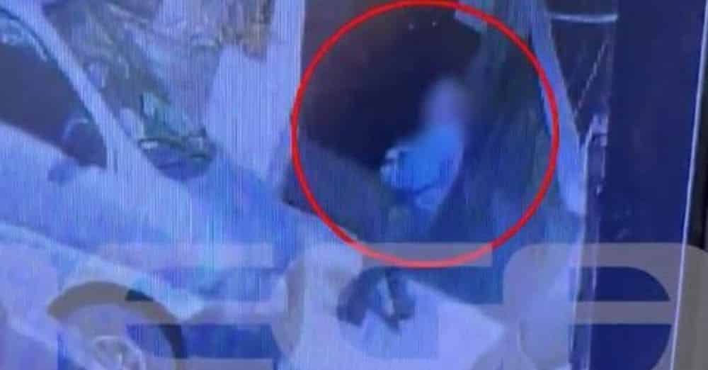 Φρίκη στην Κρήτη: Πρώην αντιδήμαρχος καταγράφηκε να σκοτώνει γατάκι χτυπώντας το στον τοίχο - Βίντεο ντοκουμέντο