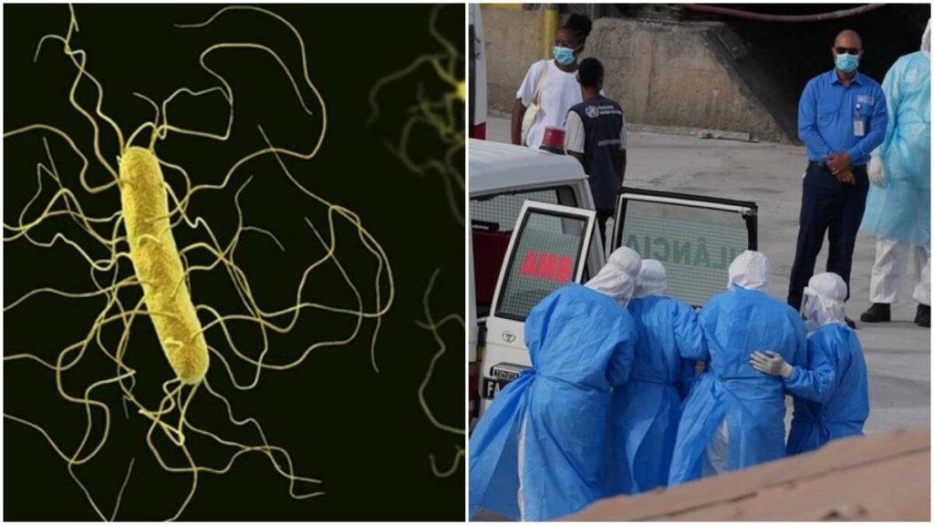 Παγκόσμιος συναγερμός: 101 κρούσματα χανταϊού! Τρεις νεκροί και το στέλεχος Andes που «τρομάζει» τον Ατλαντικό!
