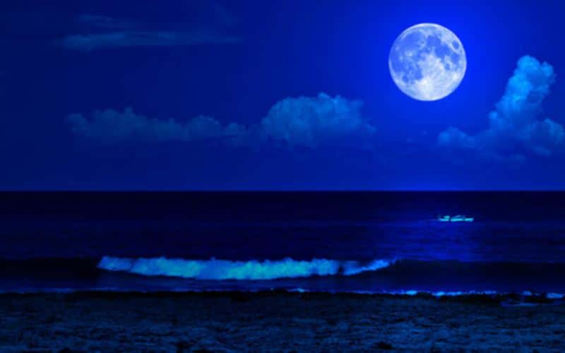 bluemoon