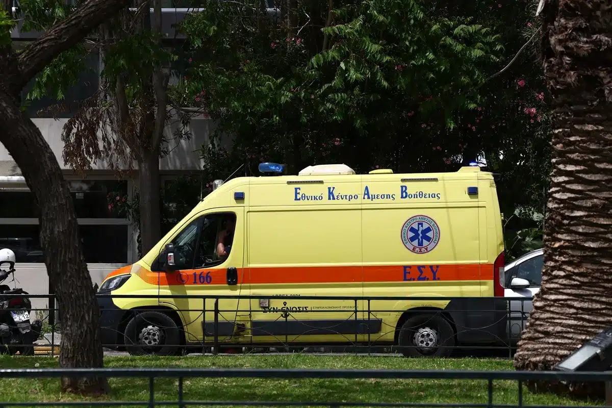 ekav 1005.jpg
