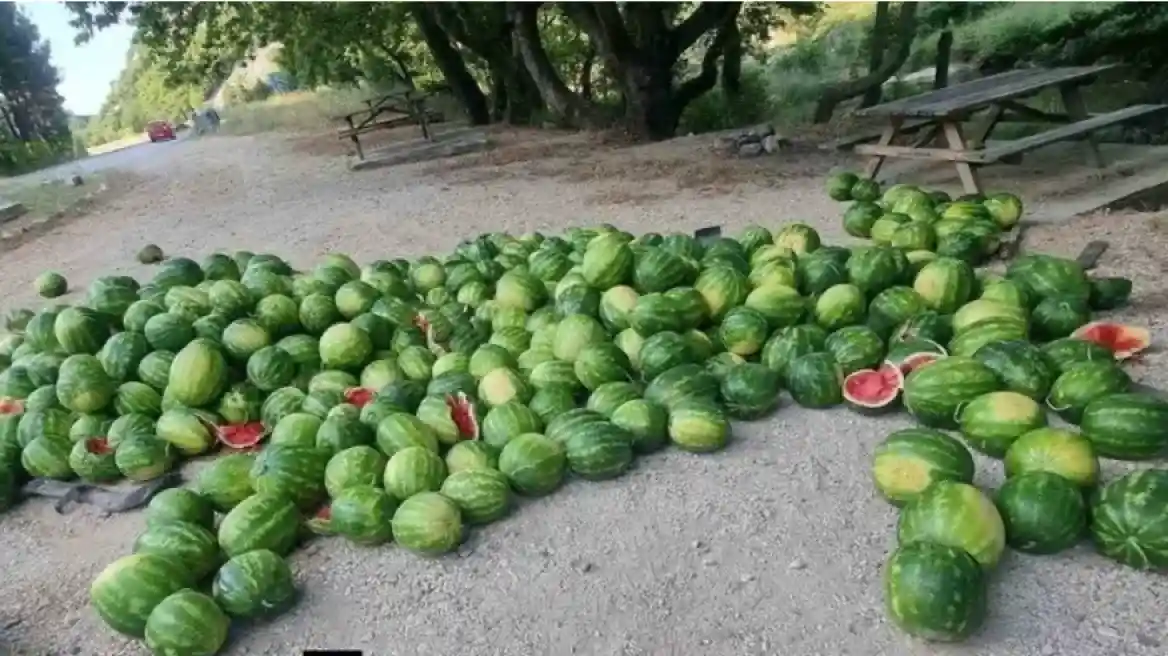 karpouzia