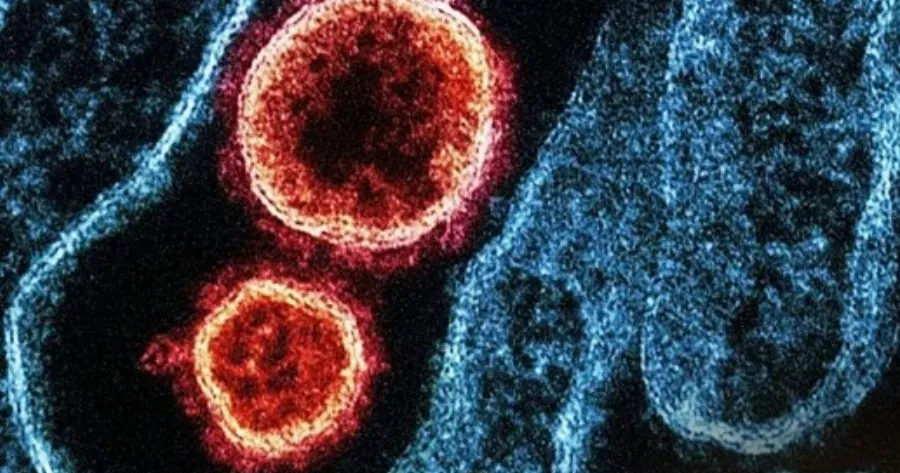 ΒΟΜΒΑ: Σύσταση για χρήση μάσκας σε κλειστούς χώρους λόγω χανταϊού