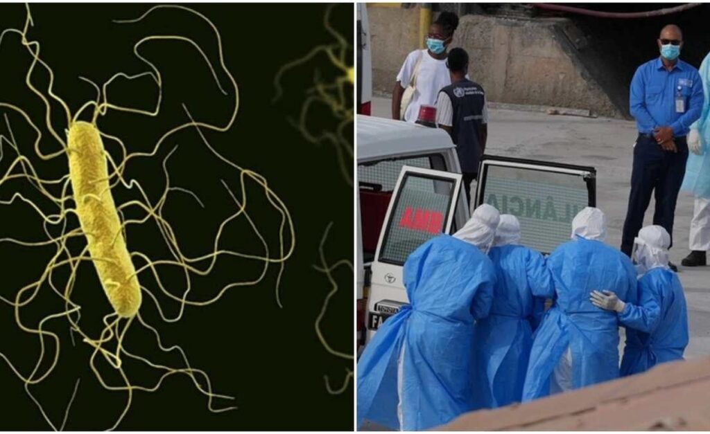 Παγκόσμιος συναγερμός: 101 κρούσματα χανταϊού! Τρεις νεκροί και το στέλεχος Andes που «τρομάζει» τον Ατλαντικό!