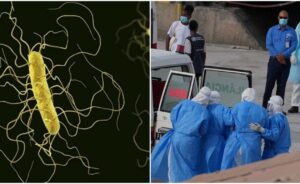 Παγκόσμιος συναγερμός: 101 κρούσματα χανταϊού! Τρεις νεκροί και το στέλεχος Andes που «τρομάζει» τον Ατλαντικό!