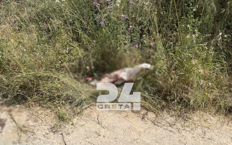 ΣΟΚ: ΕΤΣΙ ΒΡΕΘΗΚΕ ΜΕΣΑ ΣΤΑ ΑΙΜΑΤΑ Η 28ΧΡΟΝΗ ΣΤΟ ΗΡΑΚΛΕΙΟ