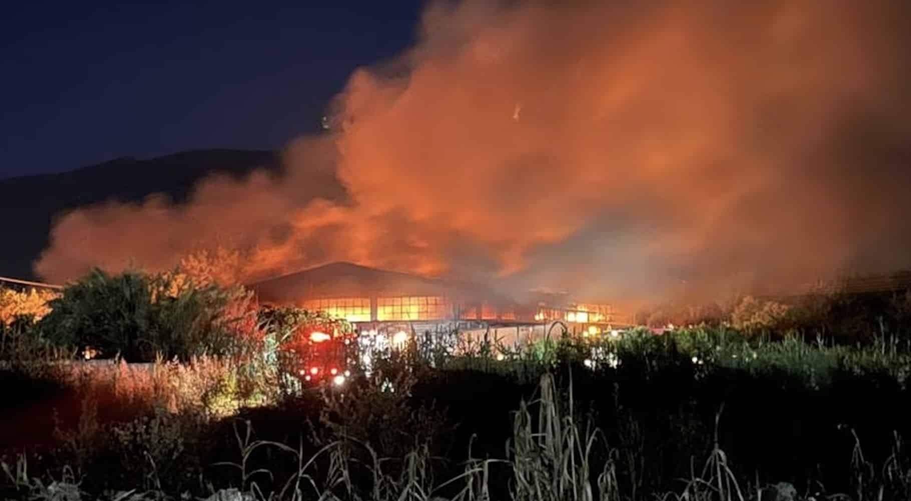Mεγάλη φωτιά σε επιχείρηση ξυλείας στην Καλαμάτα