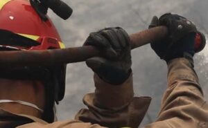 Βόλος: Πήγε να κόψει τα ξερά χόρτα και τελικά έκαψε 3 στρέμματα