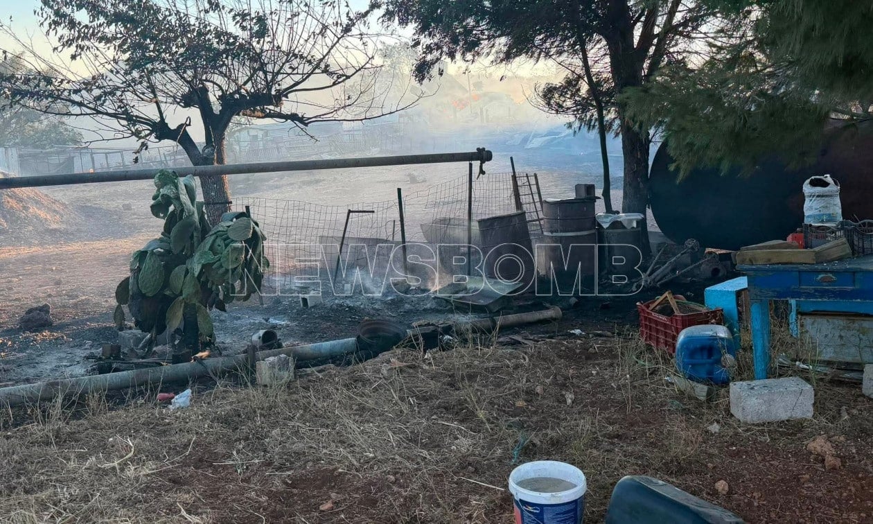 Στις φλόγες κτηνοτροφική μονάδα