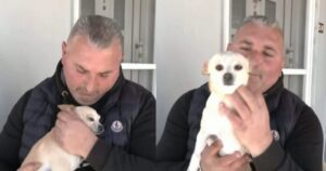 Τυφλή σκυλίτσα περπάτησε πέντε ημέρες για να βρει τον άνθρωπο που την έσωσε [βίντεο]