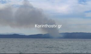 ΦΩΤΙΑ ΤΩΡΑ ΣΤΗ ΧΩΡΑ ΜΑΣ: ΤΡΕΧΟΥΝ ΤΑ ΠΥΡΟΣΒΕΣΤΙΚΑ ΚΑΙ ΤΑ ΑΣΘΕΝΟΦΟΡΑ , ΣΟΚ