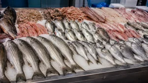 Τα δύο φθηνά ψάρια που ξεχώρισαν για τα ωφέλιμα λιπαρά τους σε νέα έρευνα του ΑΠΘ και των Πανεπιστημίων Θεσσαλίας και Πάτρας