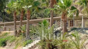 Δυστυχώς δεν τα κατάφερε – Πέθανε στο νοσοκομείο πριν λίγο