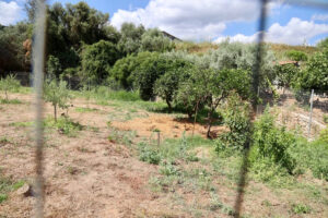Σκηνές θρίλερ για την Σταυρούλα – Ανακαλύφθηκε ο απάνθρωπος τρόπος που ήταν αιχμάλωτη η 45χρονη, δεν μπορούν να το πιστέψουν