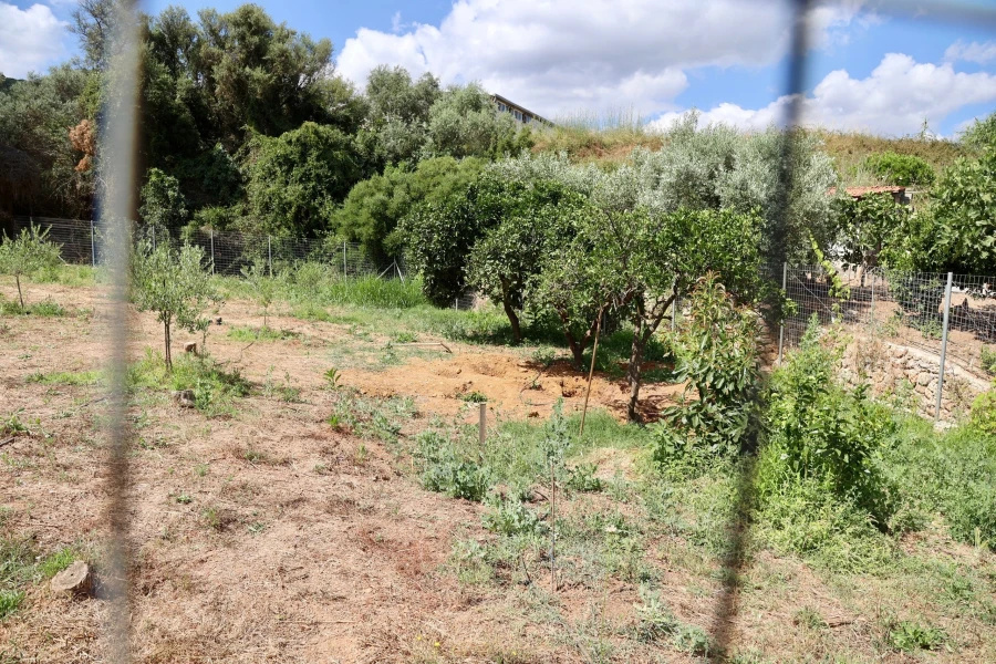 Σκηνές θρίλερ για την Σταυρούλα – Ανακαλύφθηκε ο απάνθρωπος τρόπος που ήταν αιχμάλωτη η 45χρονη, δεν μπορούν να το πιστέψουν