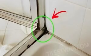 Ο πιο γρήγορος τρόπος για να απαλλαγείτε από τη μούχλα στην σιλικόνη του ντους