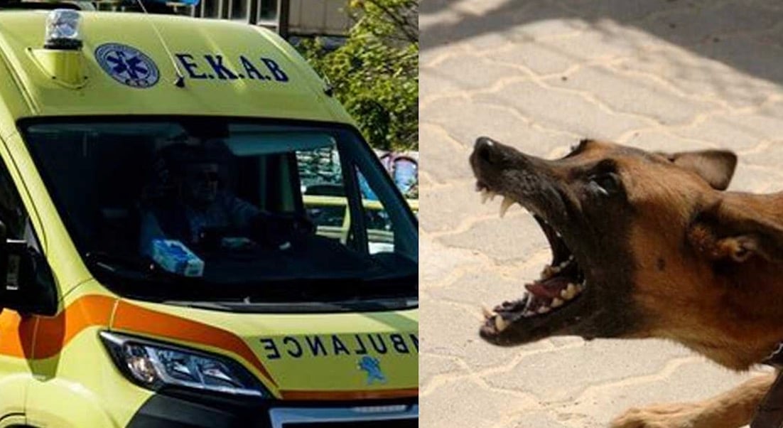 Στο νοσοκομείο 7χρονη μετά από επίθεση σκύλου: Την δάγκωσε στο αυτί, τον αυχένα, την ωμοπλάτη και το στέρνο