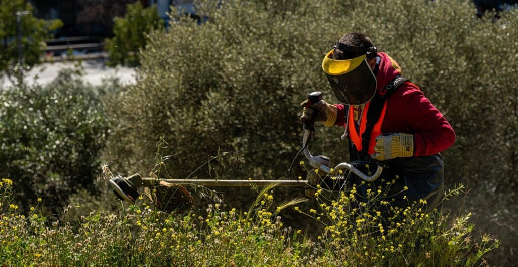 Καθαρισμός οικοπέδων: «Φρένο» υπουργείου στην παράταση – Στα ύψη τα πρόστιμα για τους ξεχασιάρηδες