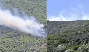 Φωτιά στον Άγιο Βασίλειο Βοιωτίας και μήνυμα από το 112 – Σηκώθηκαν εναέρια μέσα
