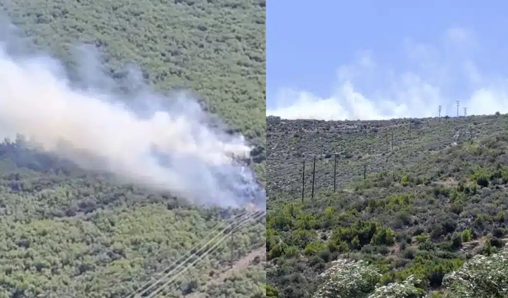 Φωτιά στον Άγιο Βασίλειο Βοιωτίας και μήνυμα από το 112 – Σηκώθηκαν εναέρια μέσα