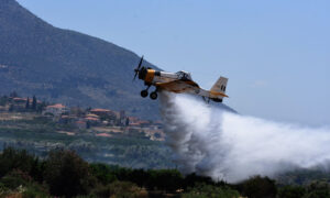 «Συναγερμός» από την Πυροσβεστική για φωτιές: Εξαιρετικά επικίνδυνες οι συνθήκες το επόμενο διάστημα