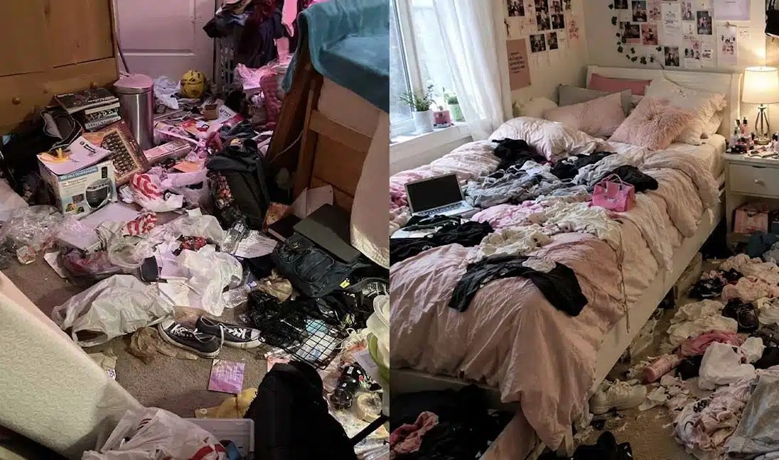 Βασιλιάδες της ακαταστασίας: Ποια είναι τα 3 πιο ανοργάνωτα ζώδια